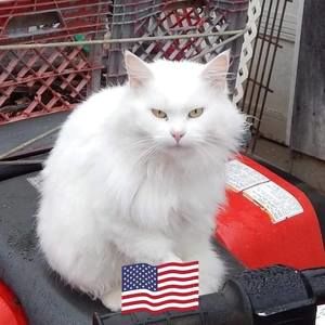 Meet your Posher, Steve